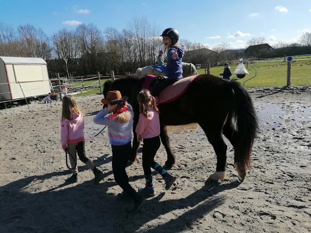 Apollon - Führen Erleben Reiten - Foto 2