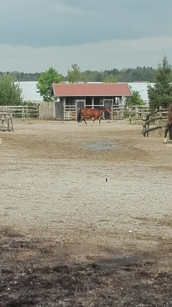 Bewegungsstall Spirn - photo 2