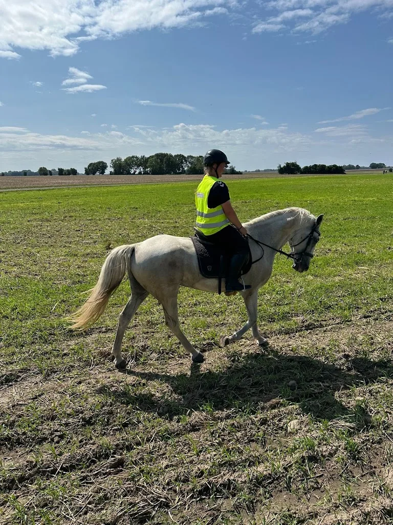 Wanderreiten auf Rügen - photo 1