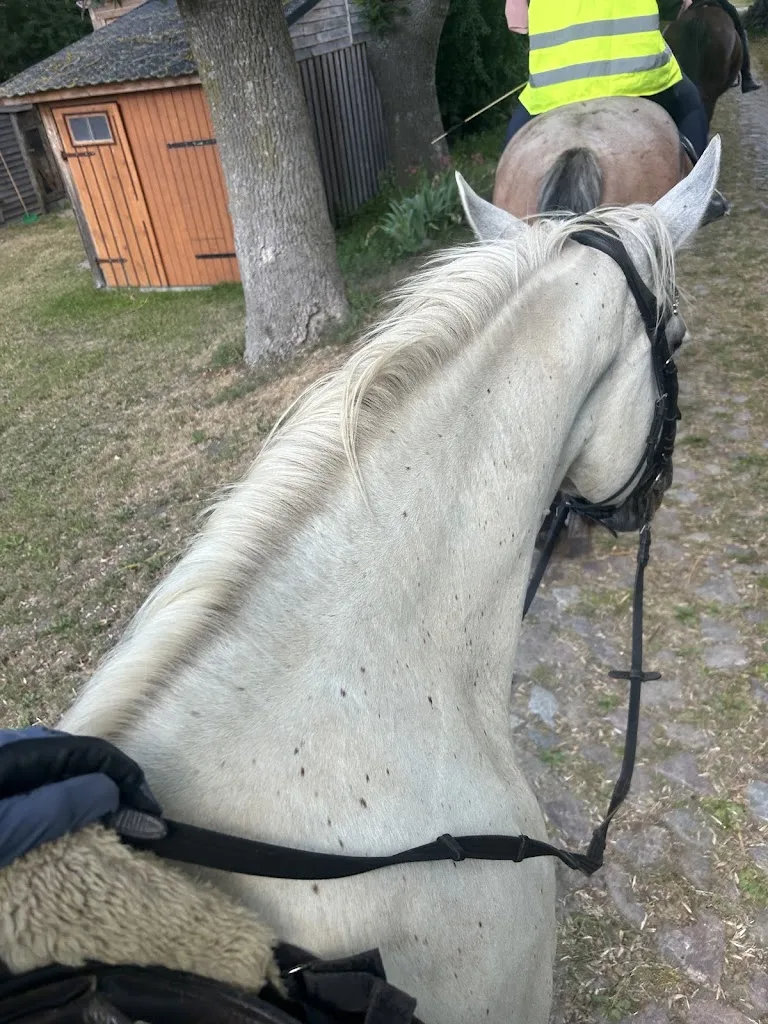 Wanderreiten auf Rügen - photo 2
