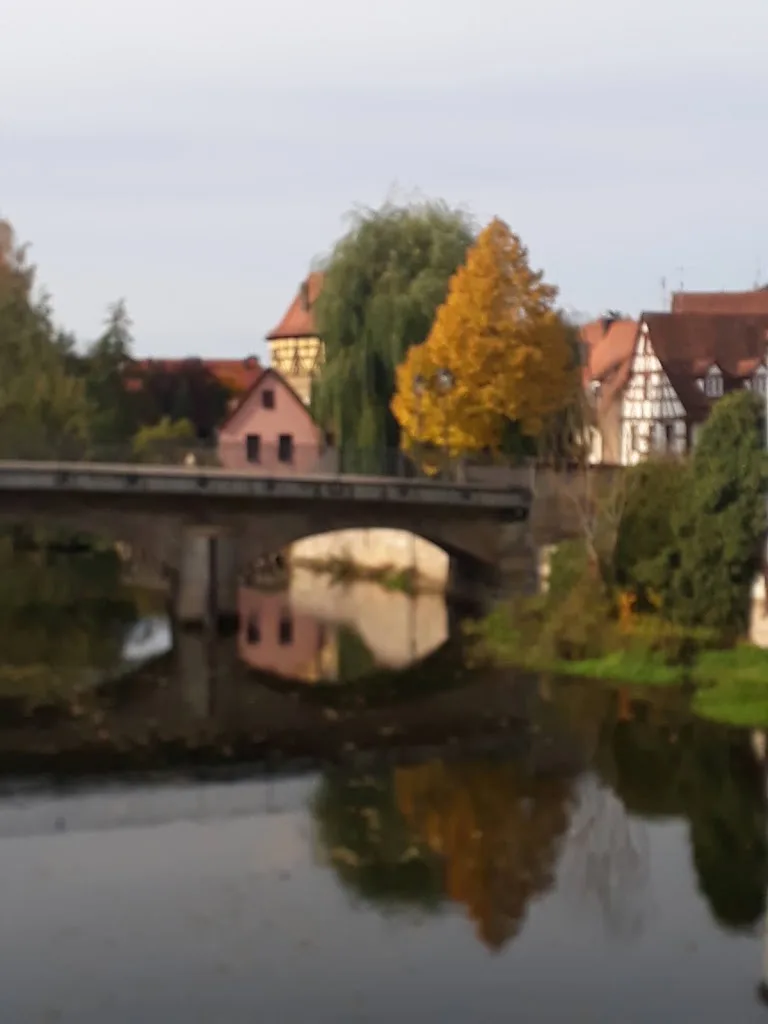 Pferde am Letten - Foto 2