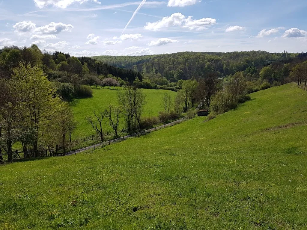 Friedel Sportpferde - Foto 1