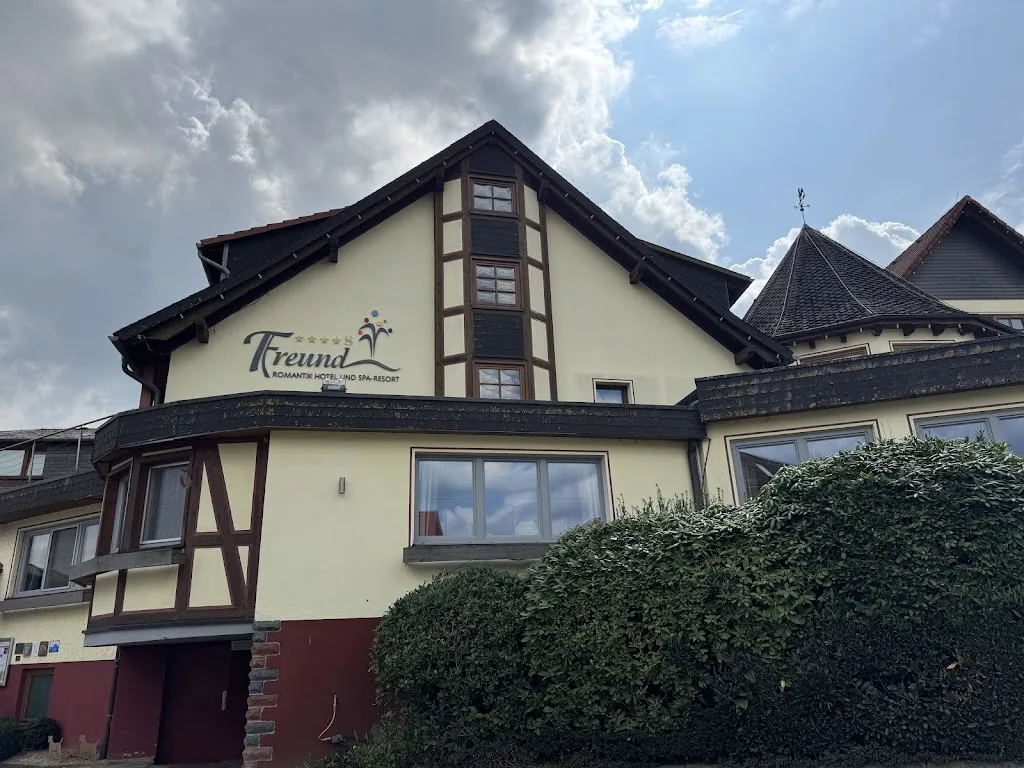 Friedel Sportpferde - Foto 2