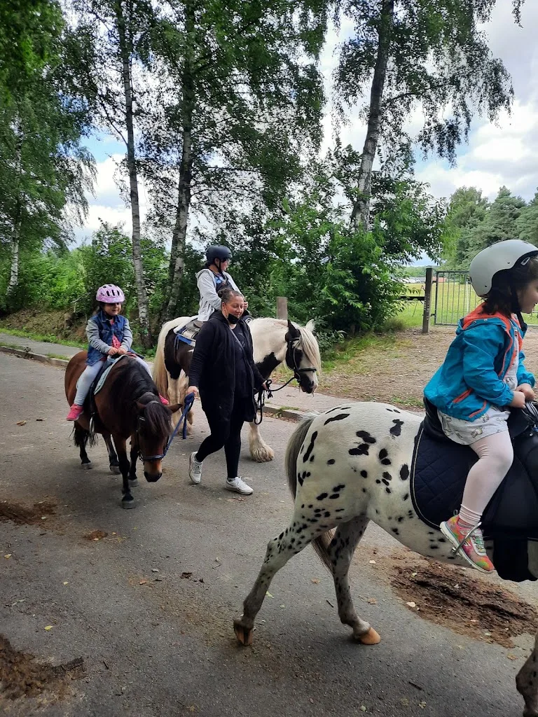 Ponyclub Ohlendorf-Jugendfarm e.V. - photo 2