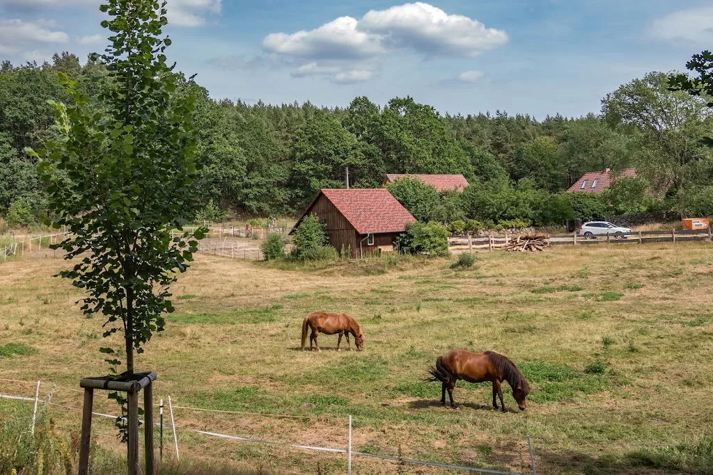 Gestüt Inselhof - Foto 1