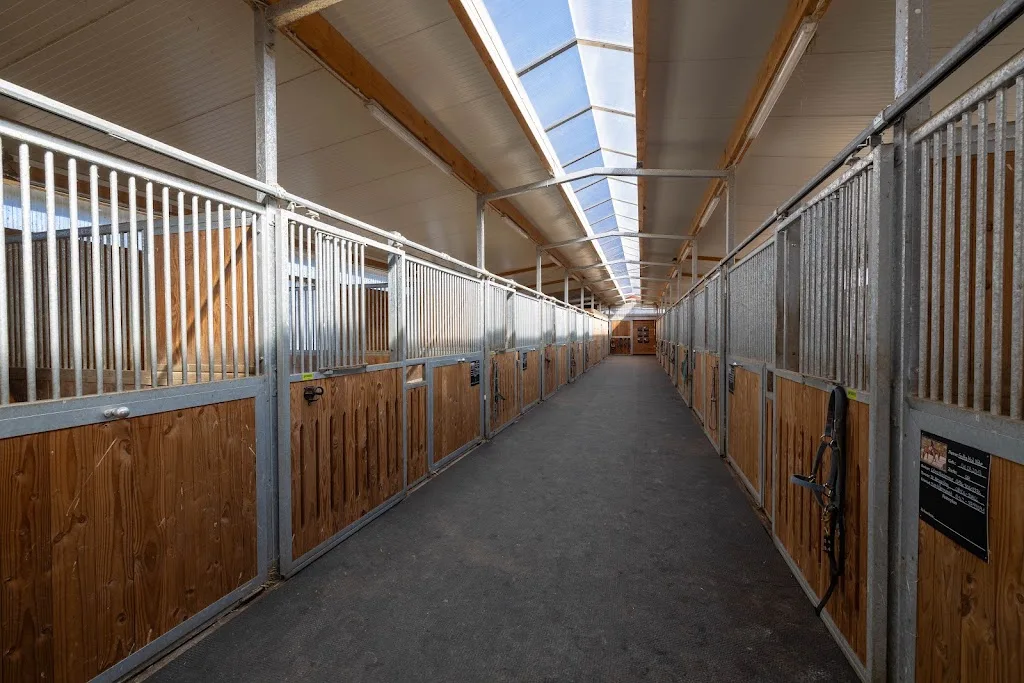 Reit & Trainingsstall Niedermayr - Foto 1