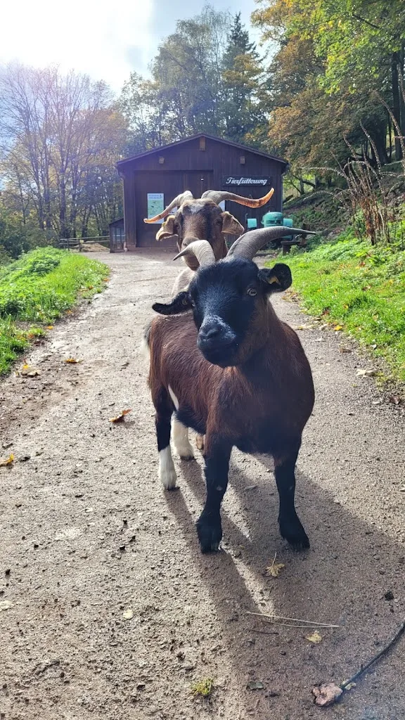 Weitzmühle - Foto 2