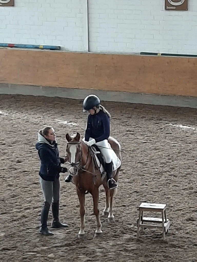 Erftpony - Foto 1