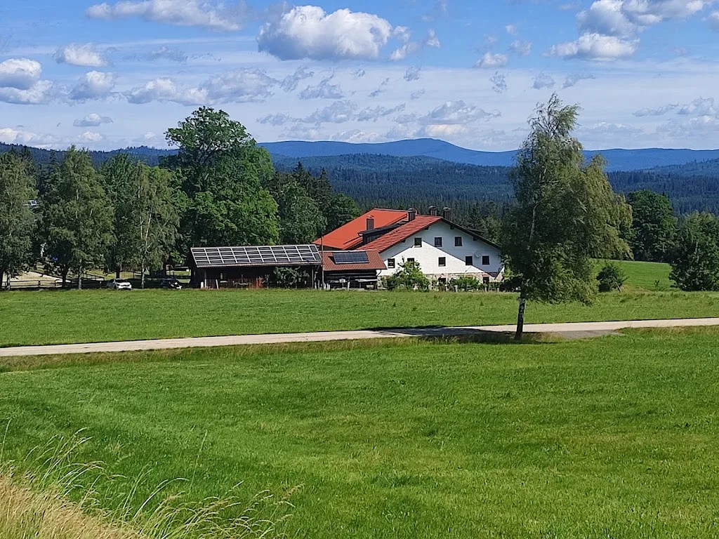 Islandpferdehof Bärenfilz - photo 1