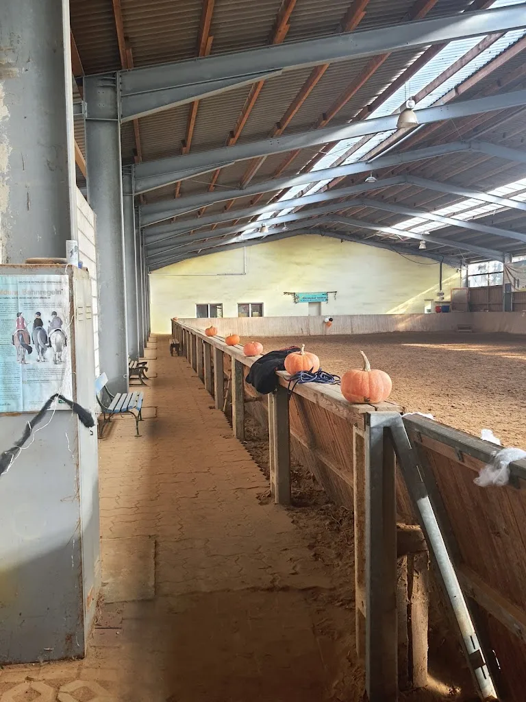 Landwirtschaftsbetrieb u. Pferdepension Weiherhof - Foto 2