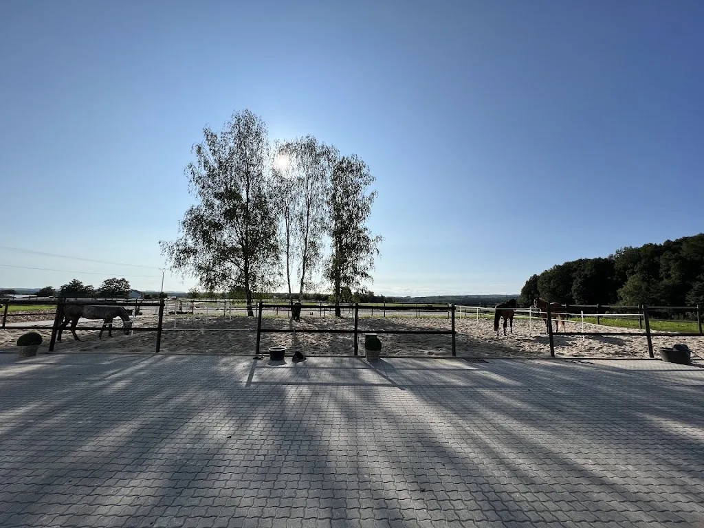 Marinas Reitschule und Tierheilpraxis - photo 2