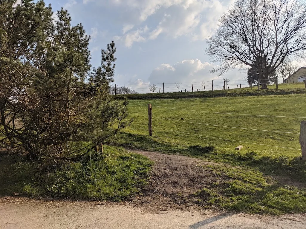 Reitanlage Im Berg - Foto 1