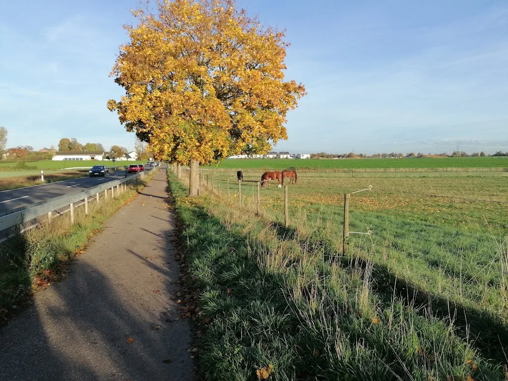 Gehöft Rehm - photo 1
