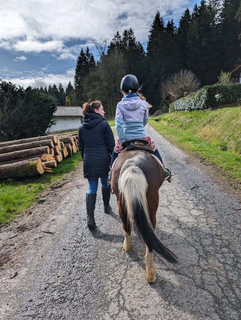 Anja's Ponyhof - photo 1