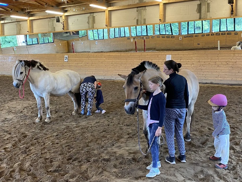 Repente, Ferienanlage, Reitschule, Tiergesundheitszentrum - Foto 1