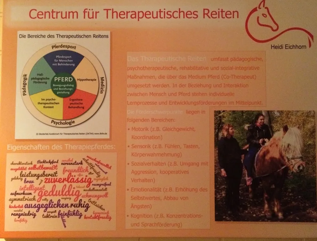 Centrum für Therapeutisches Reiten - photo 1