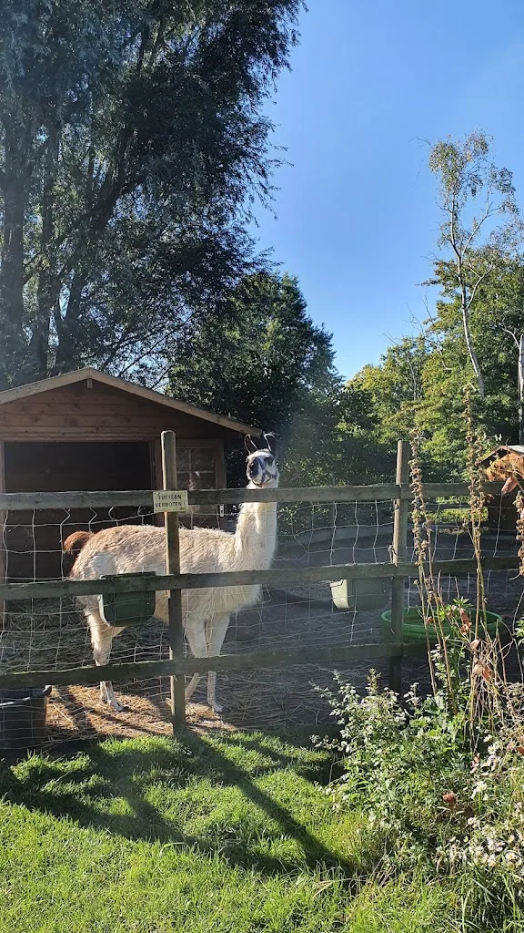 Centrum für Therapeutisches Reiten - photo 2