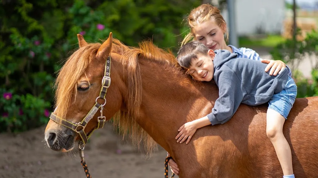 Centrum für Therapeutisches Reiten - photo 3