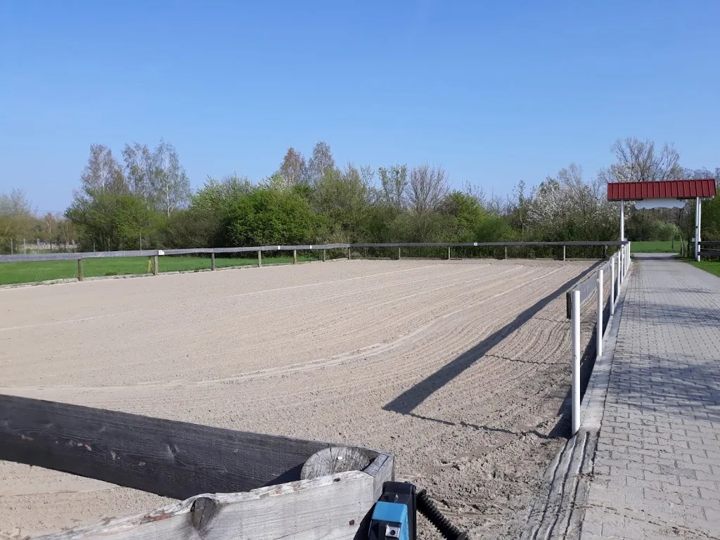 Pferdesportzentrum Delitzsch - Tina Heine - Foto 2