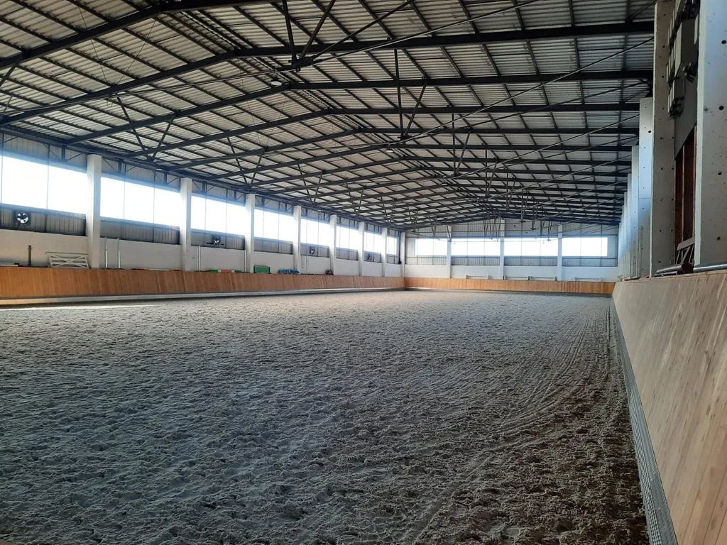 Pferdesportzentrum Delitzsch - Tina Heine - Foto 3