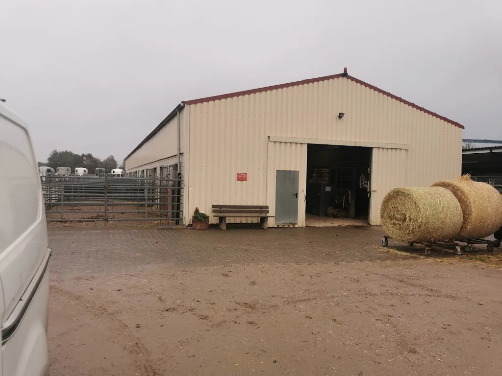 Reitanlage Buchheim - Foto 2