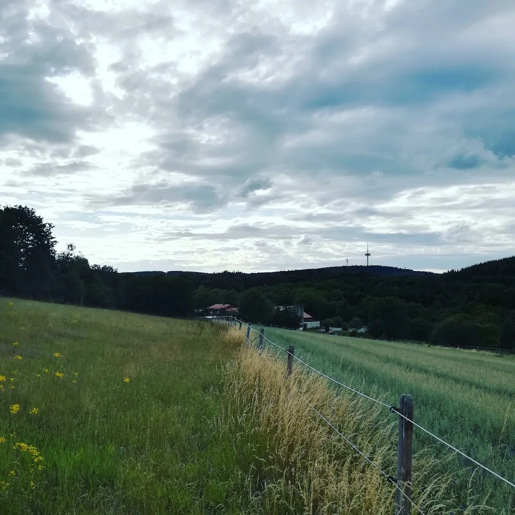 Circle-CN-Ranch - photo 1