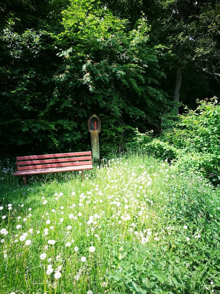 Circle-CN-Ranch - photo 2