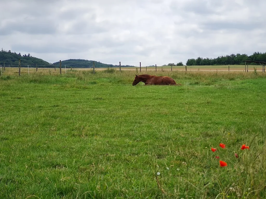 Circle-CN-Ranch - photo 3