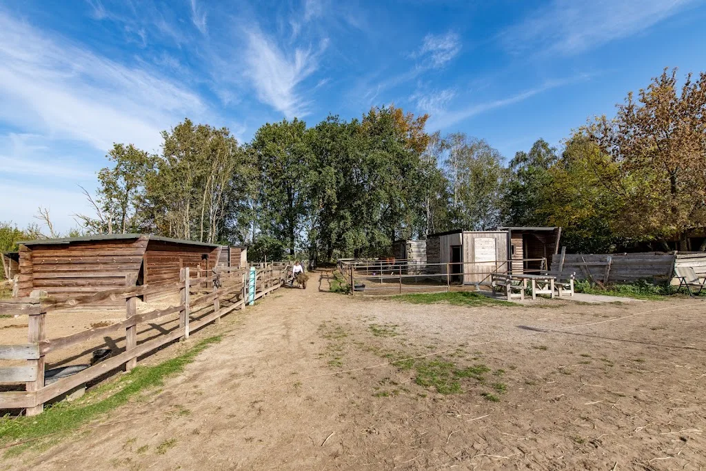 Reitschule Schönerlinde - photo 2