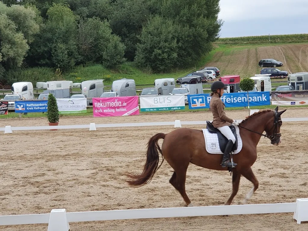 Albert Alzinger Reitanlage - photo 1