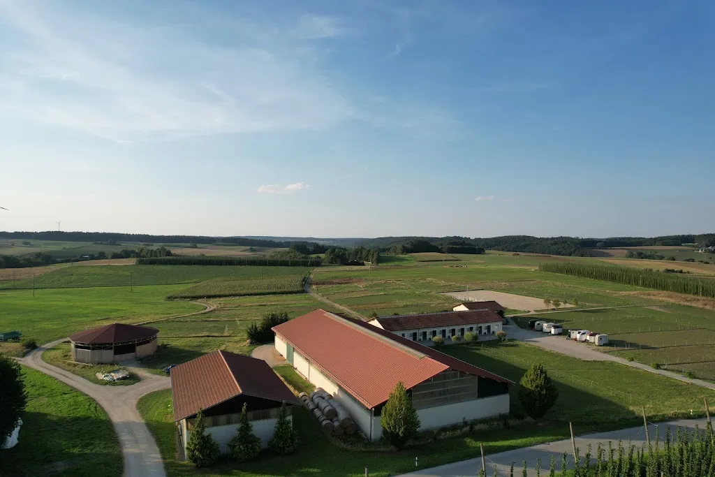 Fertlhof - Reit- & Fahrstall - Foto 2