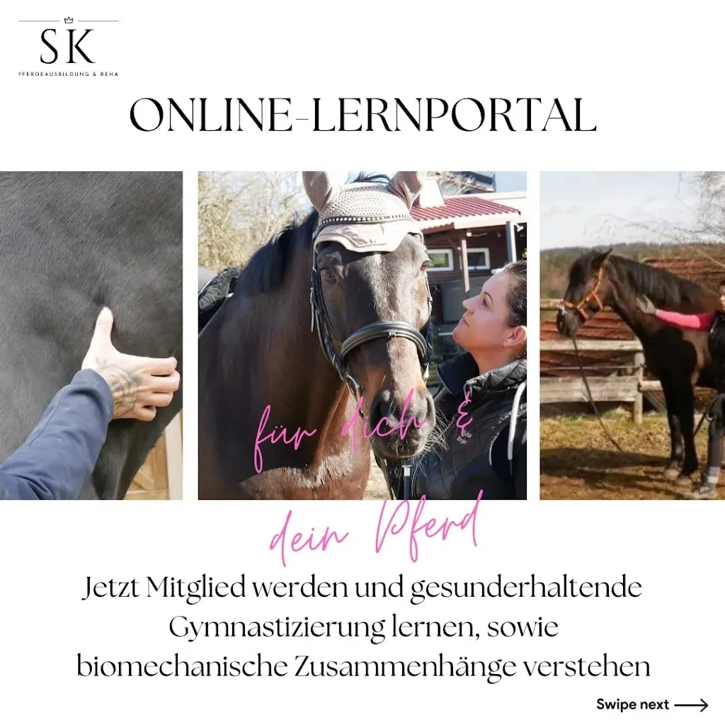 SK Pferdeausbildung & Reha - photo 2