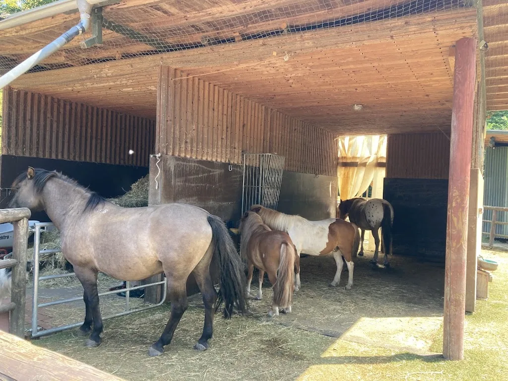 Hoppla Hopp Kinderreitschule - photo 1