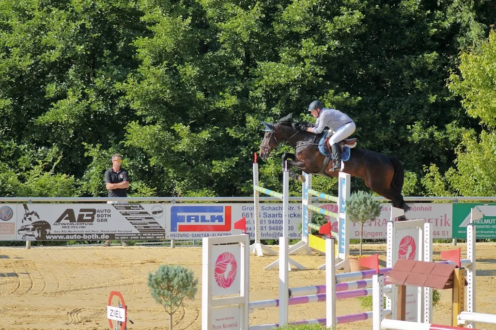 Reitsportverein Schwalbach - Foto 2