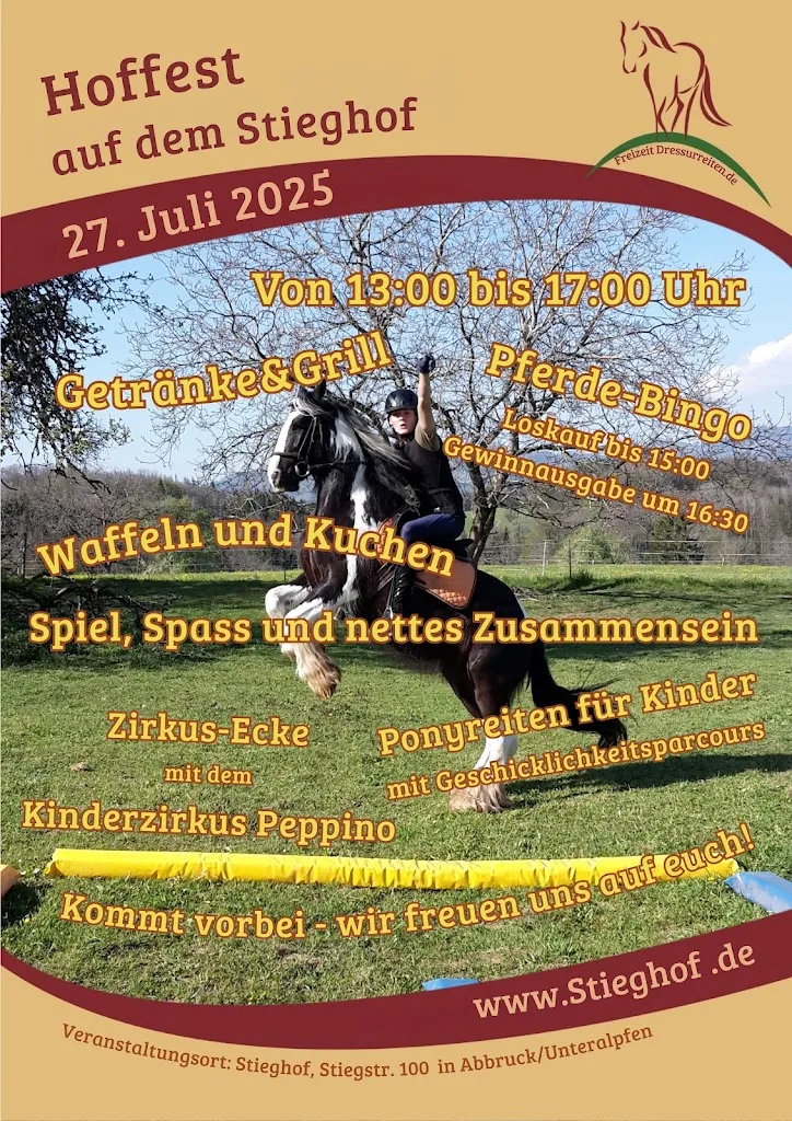 Stieghof, FreizeitDressurReiten - photo 1