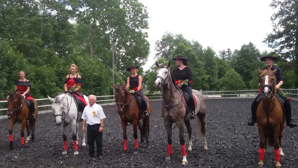 Reitanlage - photo 1