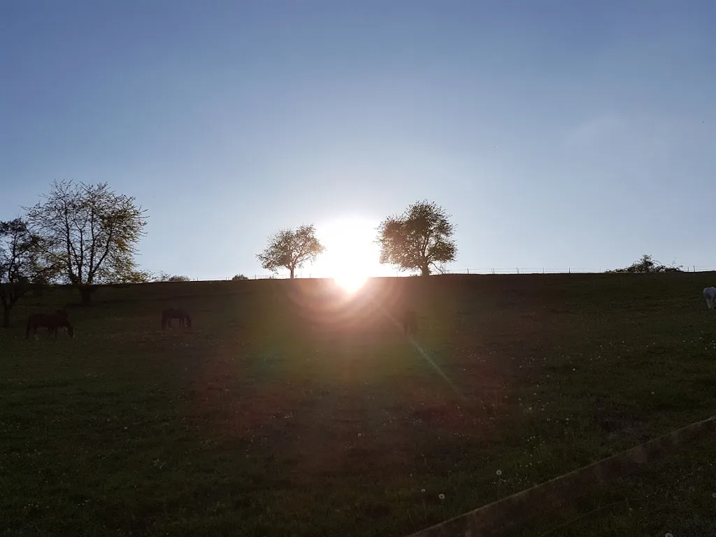 Gestüt Wiesenhof - photo 2