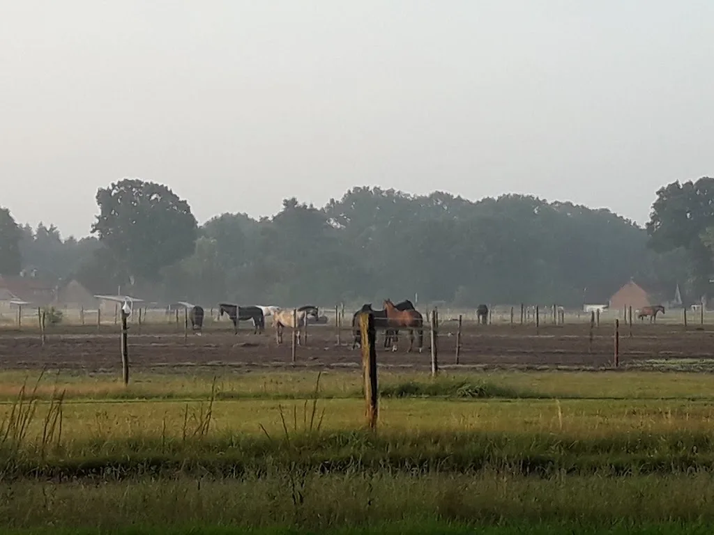 Reitanlage Henshof - Foto 1