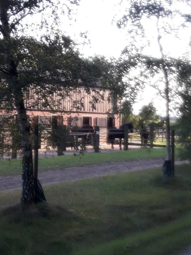 Reitanlage Henshof - Foto 2