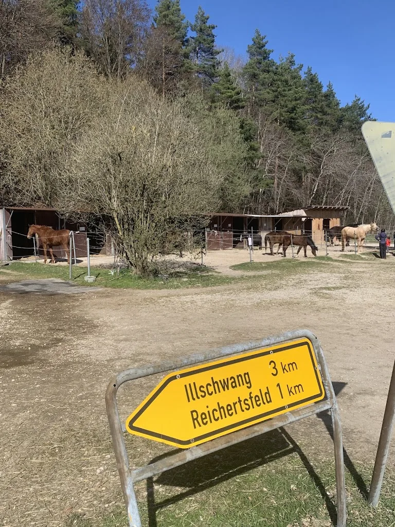 Reitstall Heike Pfab - Foto 1