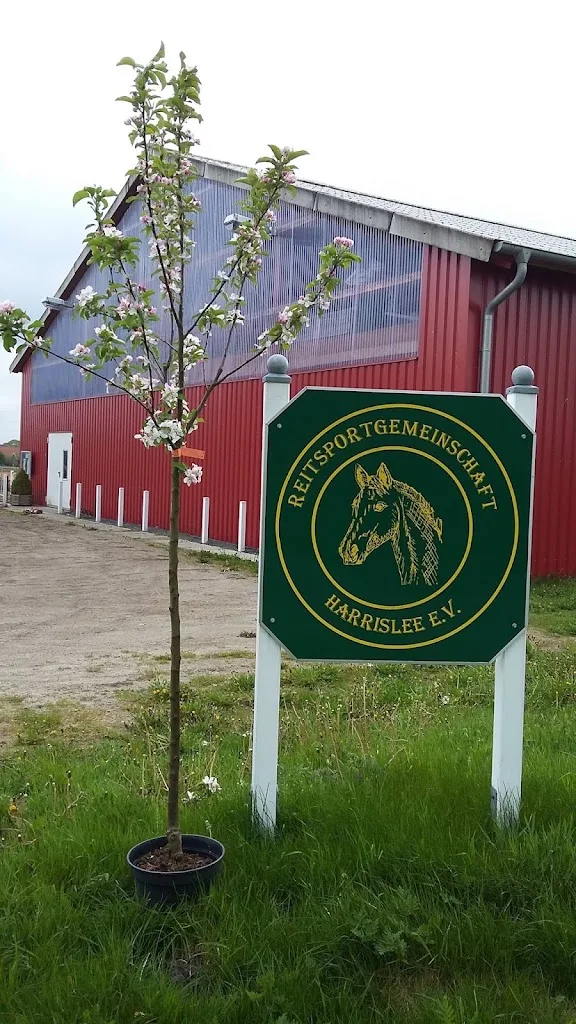 Reitsportgemeinschaft Harrislee e.V. - photo 3