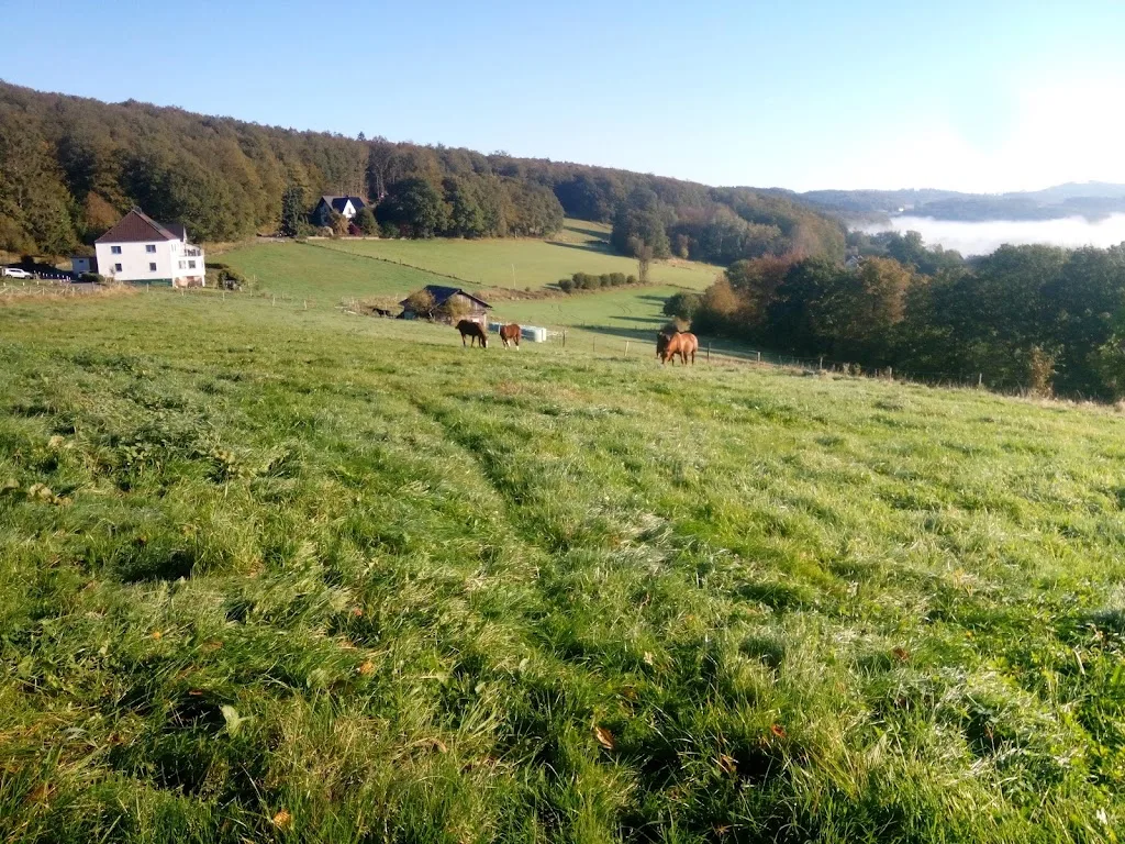 Pferdehof-Danklin - photo 2