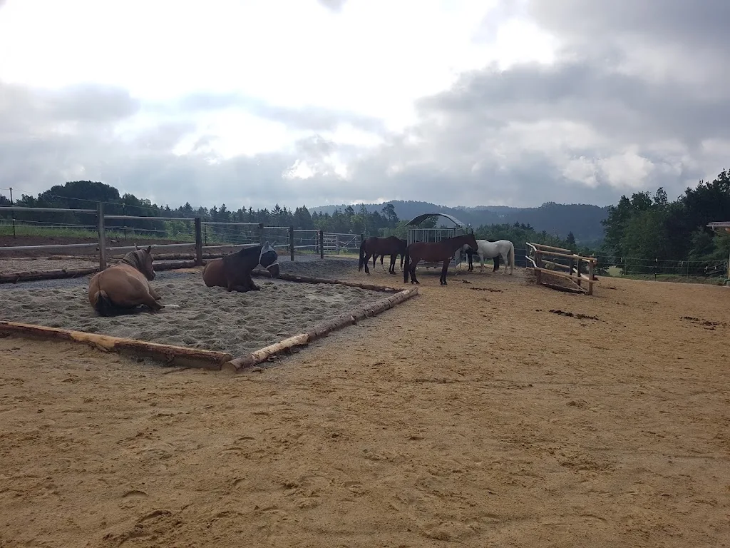 Foierl Ranch - photo 2