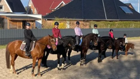 Reitschule Ute Limbach - Foto 1