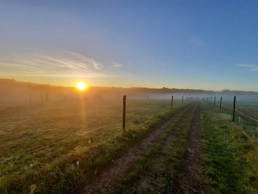 Reitanlage Rosengarten Jörn Wendt Landwirtschaft - photo 2