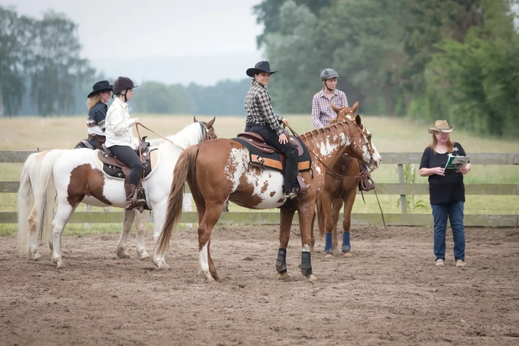 Dream Horse Ranch - photo 2
