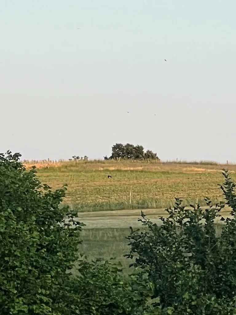 Zuchthof Schachner - Foto 2