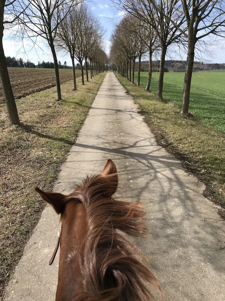 Steffenshof - Urlaub und Reiten - photo 1