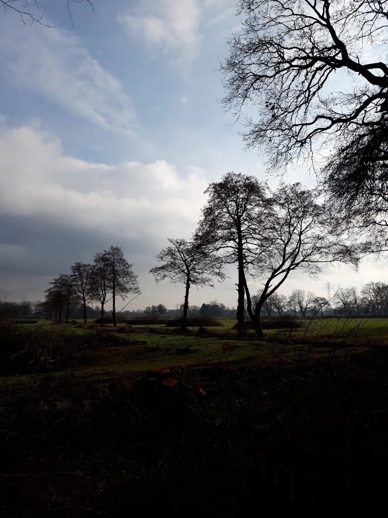 Offenstall Fährenkamp - Foto 2