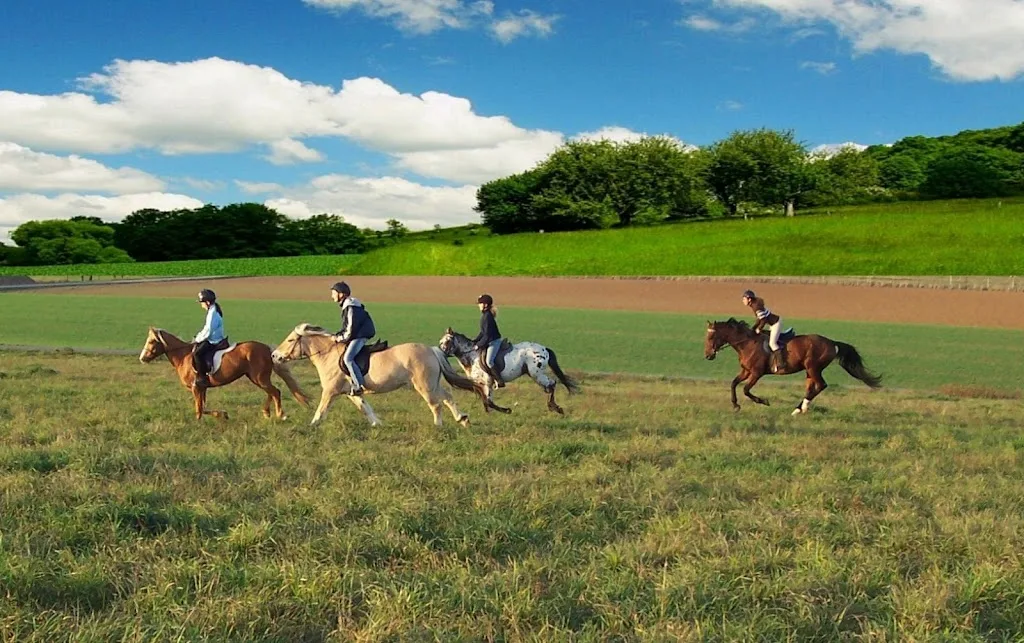 Seufert-Ranch - Foto 2